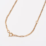 Pave Long Clip Necklace - PRMAL