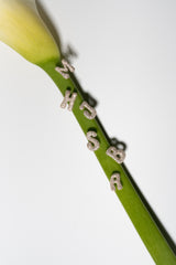 Pave Dome Letter B Earring - PRMAL