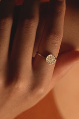 Pave Disk Ring