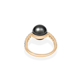 Black Pearl Oval Bold Ring - PRMAL