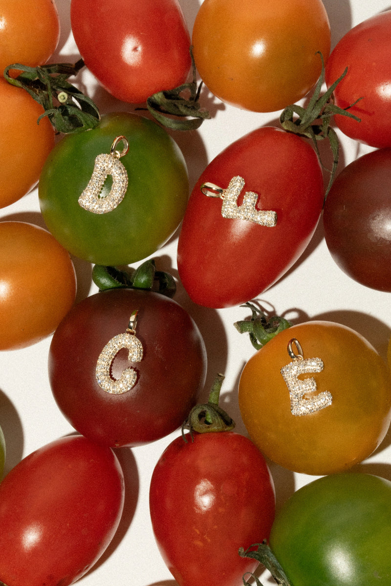 Pave Dome Letter B Necklace - PRMAL