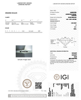 1.08ct Alta Solitaire Plain Ring - PRMAL