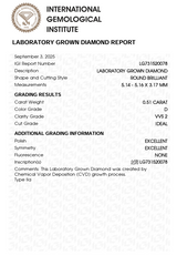 0.51ct Flora Halo Plain Ring [D/VVS2/IDEAL] - PRMAL