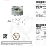 0.51ct Flora Halo Plain Ring [D/VVS2/IDEAL] - PRMAL