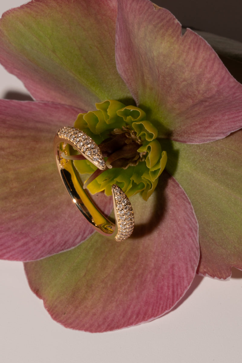 Pave Dome Open Ring - PRMAL