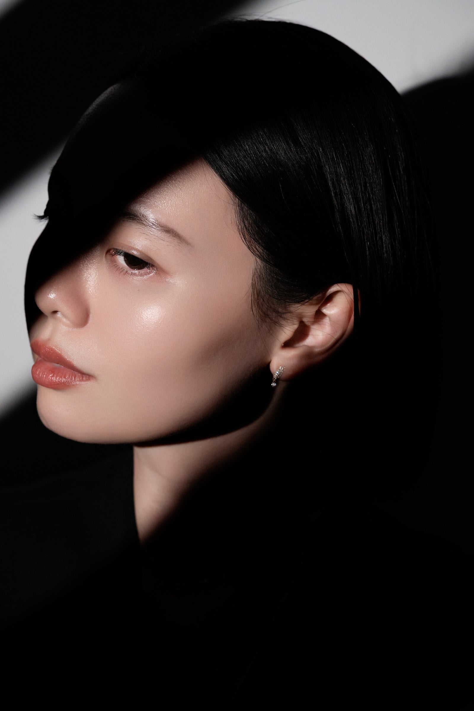 ドームレイダイヤモンドイヤリング - PRMAL (プライマル) 公式