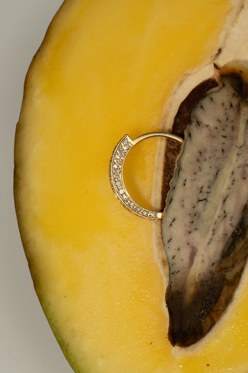Glacier Arc Pave Ring - PRMAL