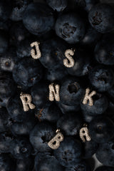 Pave Dome Letter R Earring - PRMAL