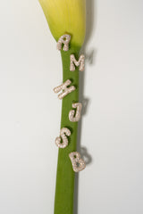 Pave Dome Letter H Earring - PRMAL