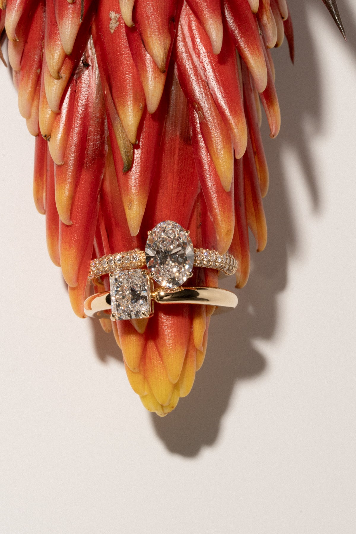 インフィニティハグリング [Radiant] - PRMAL (プライマル) 公式