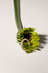 Mixture Pave Dome Ring - PRMAL