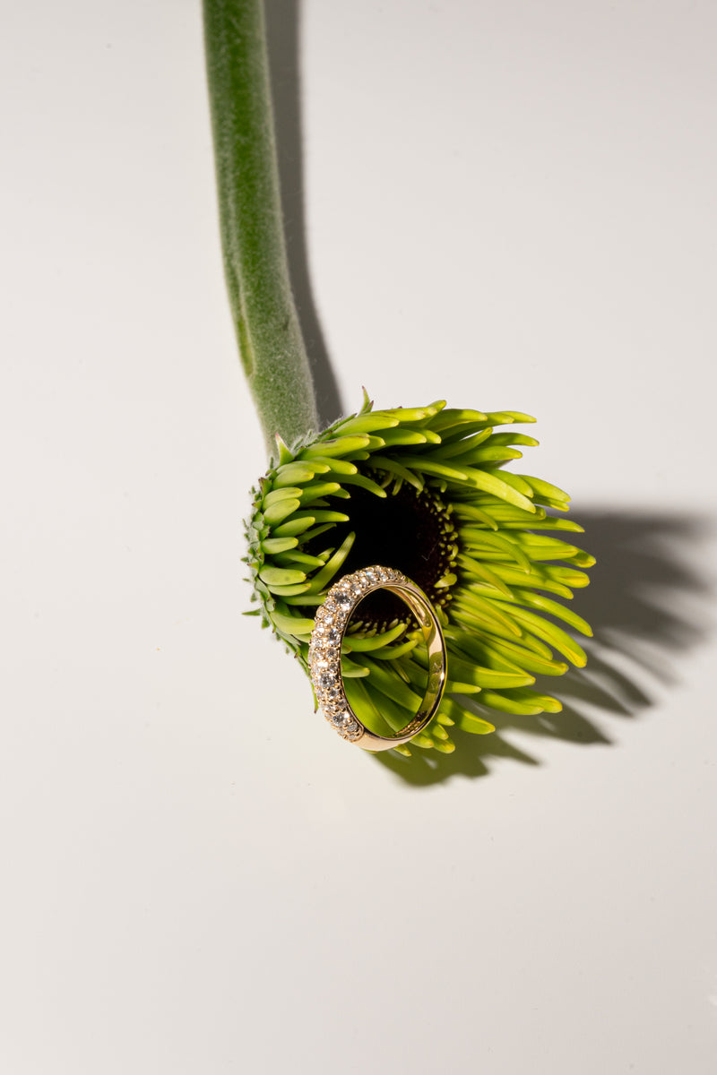 Mixture Pave Dome Ring - PRMAL