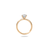 Alta Solitaire Plain Ring - PRMAL