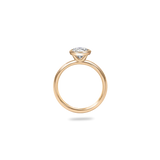 0.72ct Leira Bezel Plain Ring [D/VVS2/IDEAL] - PRMAL