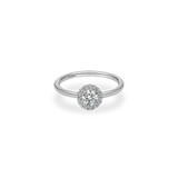 Flora Halo Plain Ring - PRMAL