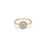 Flora Halo Plain Ring - PRMAL