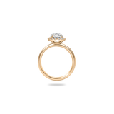 Flora Halo Plain Ring - PRMAL