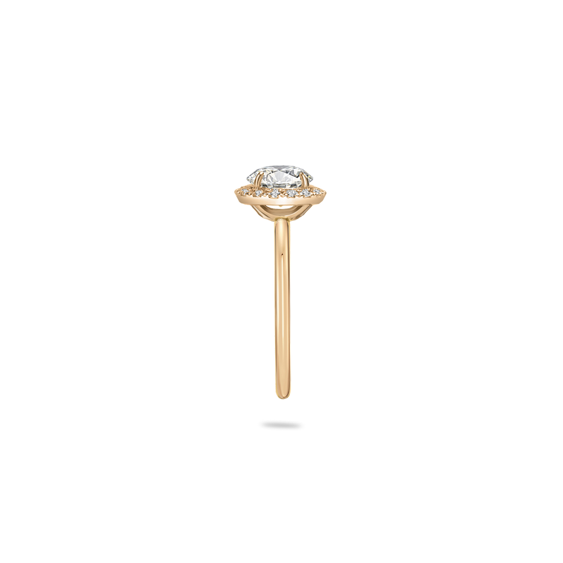 Flora Halo Plain Ring - PRMAL