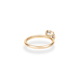 Flora Halo Plain Ring - PRMAL