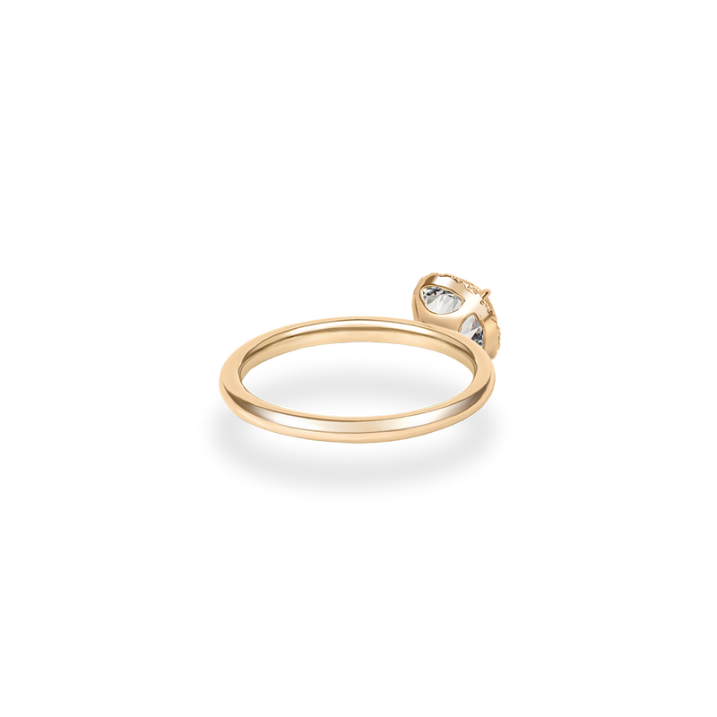 Flora Halo Plain Ring - PRMAL