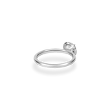 0.51ct Flora Halo Plain Ring [D/VVS2/IDEAL] - PRMAL