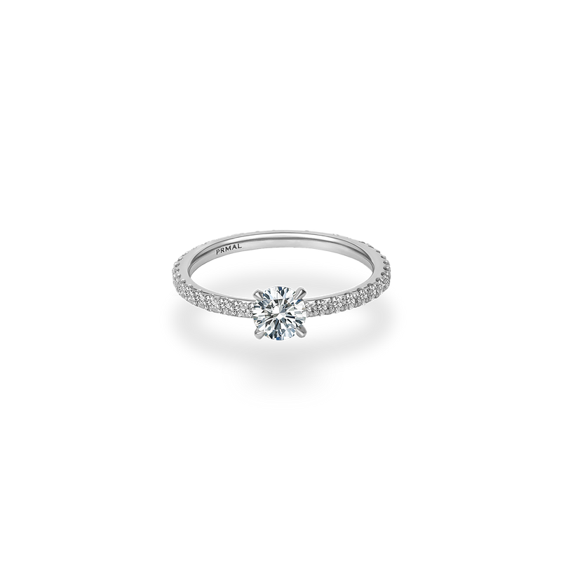 lpr-1548b.jpg