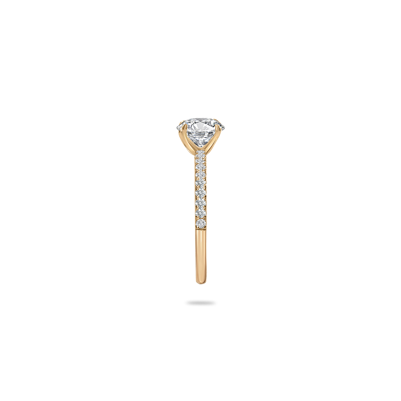 Velle Solitaire Pave Ring - PRMAL