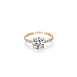 Velle Solitaire Pave Ring - PRMAL