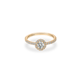 Rolla Halo Pave Ring - PRMAL