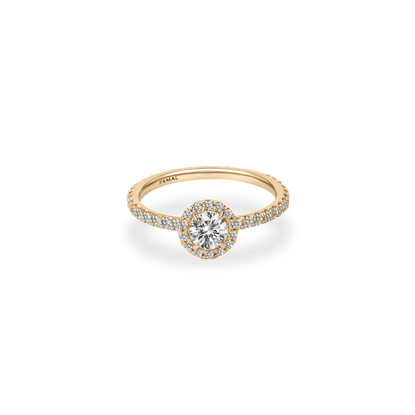 Rolla Halo Pave Ring - PRMAL
