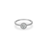 0.32ct Rolla Halo Pave Ring - PRMAL