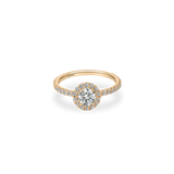 Rolla Halo Pave Ring - PRMAL