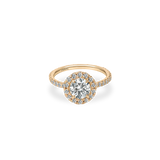Rolla Halo Pave Ring - PRMAL