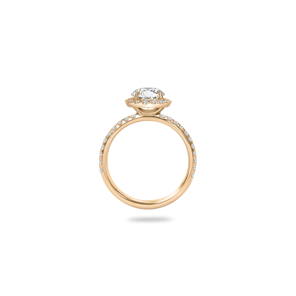 Rolla Halo Pave Ring - PRMAL