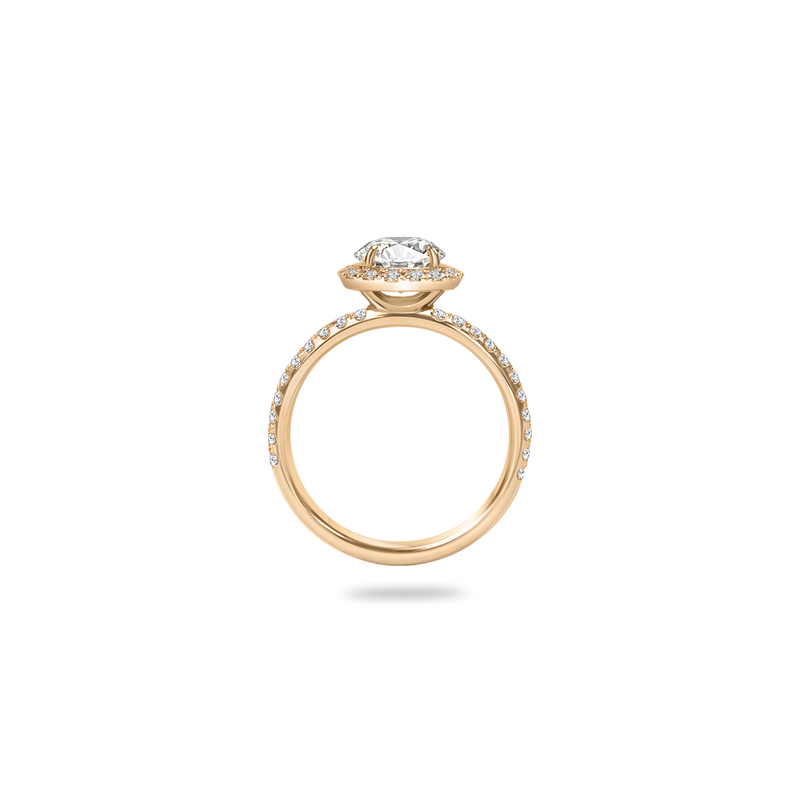 Rolla Halo Pave Ring - PRMAL