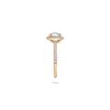 Rolla Halo Pave Ring - PRMAL