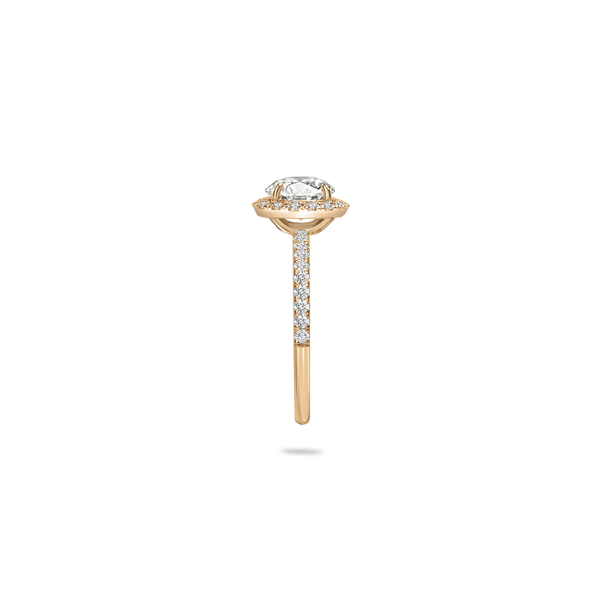 Rolla Halo Pave Ring - PRMAL