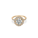 Rolla Halo Pave Ring - PRMAL
