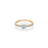 Faro Solitaire Bold Pave Ring - PRMAL