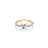 Faro Solitaire Bold Pave Ring - PRMAL