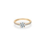 Faro Solitaire Bold Pave Ring - PRMAL