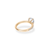Faro Solitaire Bold Pave Ring - PRMAL