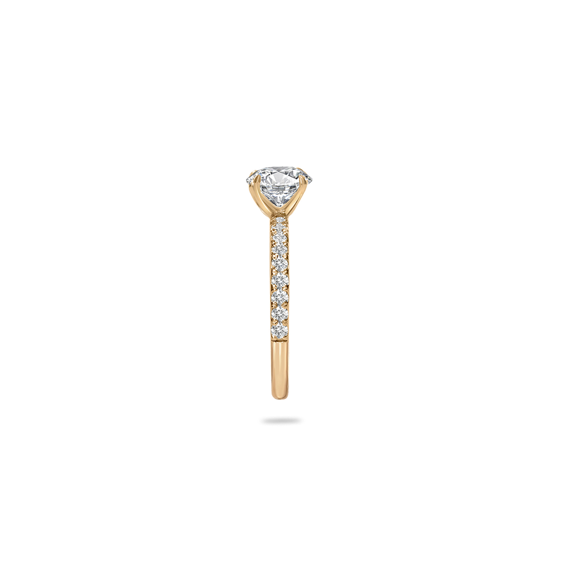 Faro Solitaire Bold Pave Ring - PRMAL