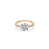 Faro Solitaire Bold Pave Ring - PRMAL