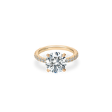 Faro Solitaire Bold Pave Ring - PRMAL