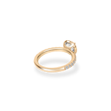 Mira Halo Bold Pave Ring - PRMAL