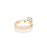 0.50ct Como Solitaire Bold Pave Flat Ring [D/VVS2/IDEAL] - PRMAL