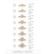 Rolla Halo Pave Ring - PRMAL