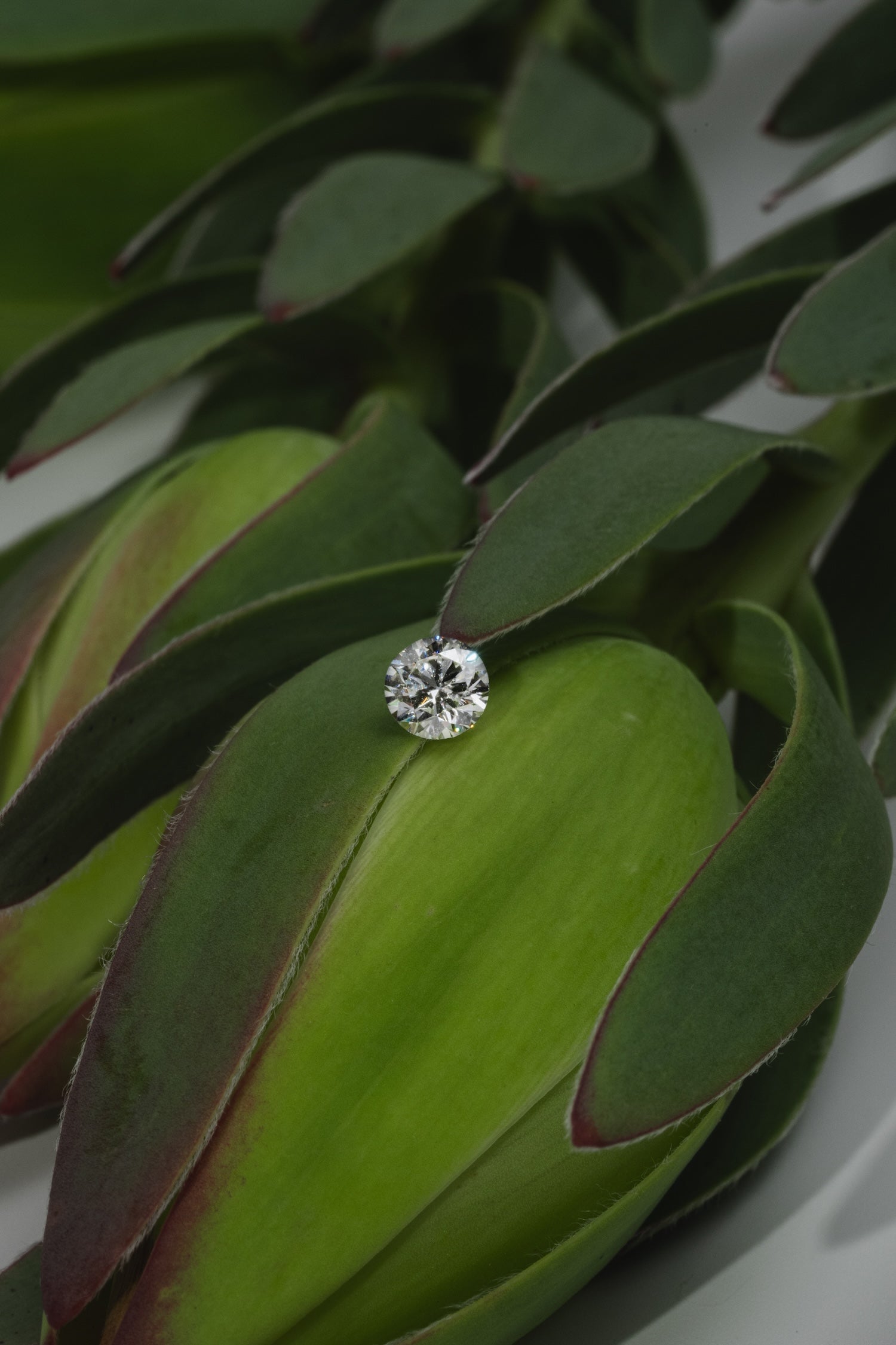 a special feature for our products; lab-grown diamond