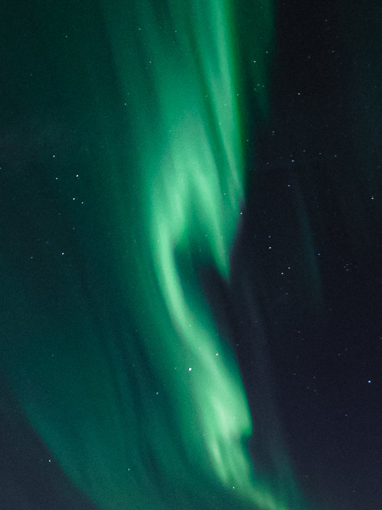 Nature that inspires PRMAL designs